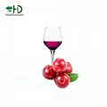 Wild Lingonberry Juice Concentrate