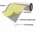 Self Adhesive EVA Waterproof Membrane