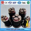 1KV 1X6SQMM Copper Conductor PVC Insulated PVC Outer Sheathed Power Cable
