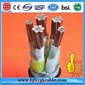 1KV Copper Conductor XLPE Insulation PVC Outer Sheath 1