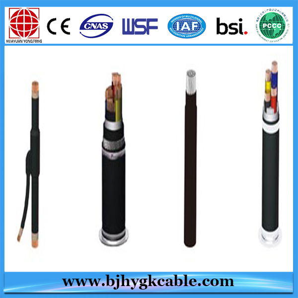 1KV PVC Insulation Power Cable Wholesale Price 5