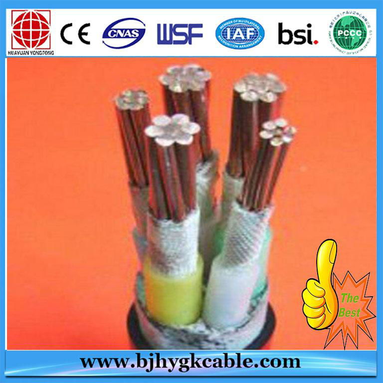 1KV PVC Insulation Power Cable Wholesale Price 4