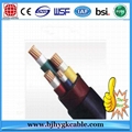 6/10kV XLPE Medium Voltage Power Cable 1