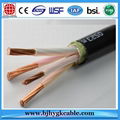 1KV Copper Conductor Material and Construction Application Low Voltage cable 5