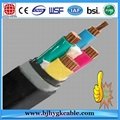 Low Voltage Copper Cable Cu/XLPE/PVC