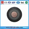 1C*300 mm2 33kV XLPE Insulated Power Cables 5