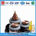 1C*300 mm2 33kV XLPE Insulated Power Cables 1