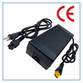  73v charger，IEC60335-2-29 battery charger 2