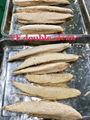 Popular Frozen Cooked Tuna Meat