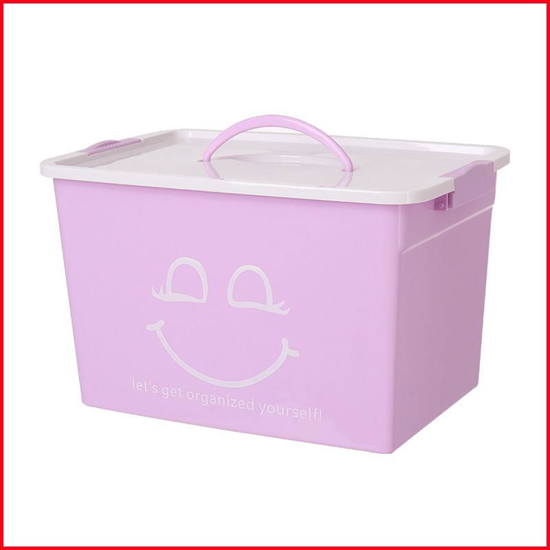 Storage Box with Lid and Latches 2