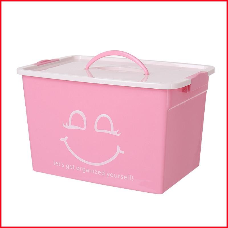 Storage Box with Lid and Latches