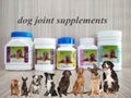 Nutritional Dog Joint Supplement 1