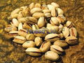 Long Iranian Pistachio (Ahmad aghaee) 1