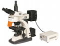 Original Manufacturer XYL-606 Fluorescence Microscope 1