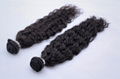 Standard Single Drawn Remy Weft Hair