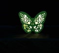 different design eco-friendly butterfly