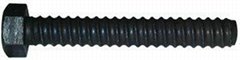 Coil Bolts