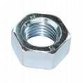 Hex Nuts 1
