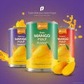 Mango Pulp 1