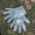 CPE disposable Gloves 4