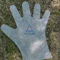 TPE disposable Gloves 4