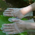 CPE  plastic gloves 2