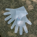 CPE  plastic gloves