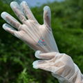 CPE  plastic gloves 3