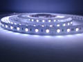 SMD5050 RGBW 60PCS LED STRIP LIGHT