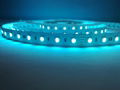 SMD5050 RGBW 60PCS LED STRIP LIGHT 2