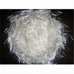 Polypropylene (PP) Fiber on building