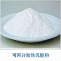 Redispersible emulsion powder(RDP)