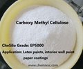 Carboxy Methyl Cellulose for Construction Coating