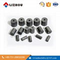 Zhuzhou Blank Moulding Carbide Heading Dies from Screw Nut 1