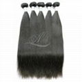 8A Brazilian Straight Virgin Hair