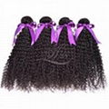 7A Brazilian Kinky Curly Human Hair 1