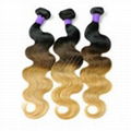 Ombre Brazilian Body Wave Hair 3 Tone Colors 1B/427 1