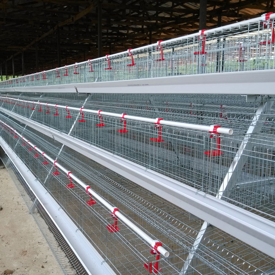 hot sale fully automatic poultry farm layer chicken cage price