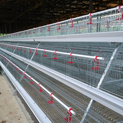 hot sale fully automatic poultry farm layer chicken cage price