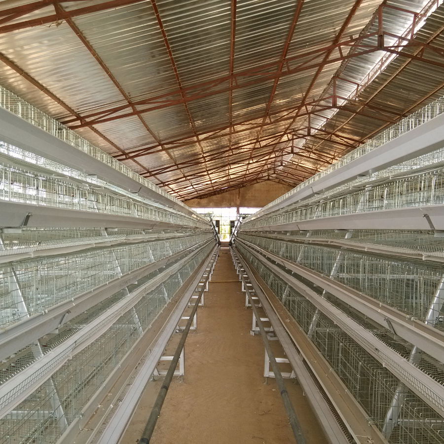 hot sale fully automatic poultry farm layer chicken cage price 3