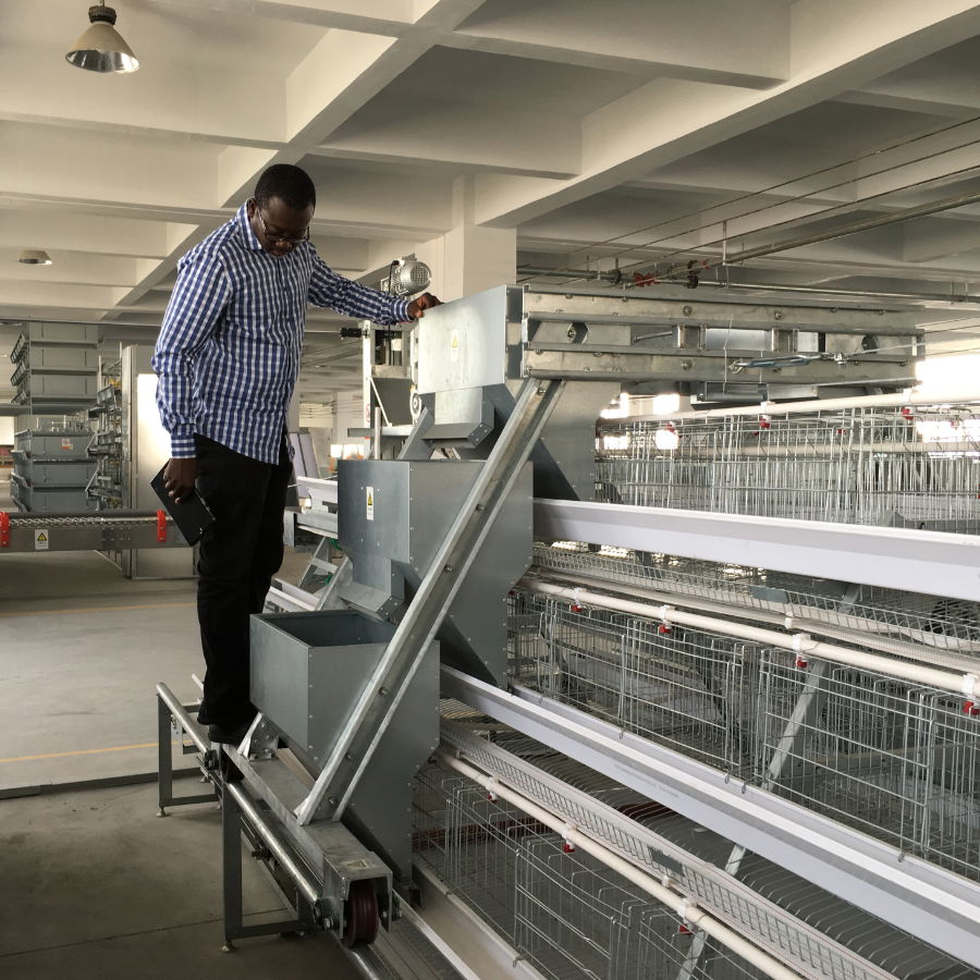 hot sale fully automatic poultry farm layer chicken cage price 5