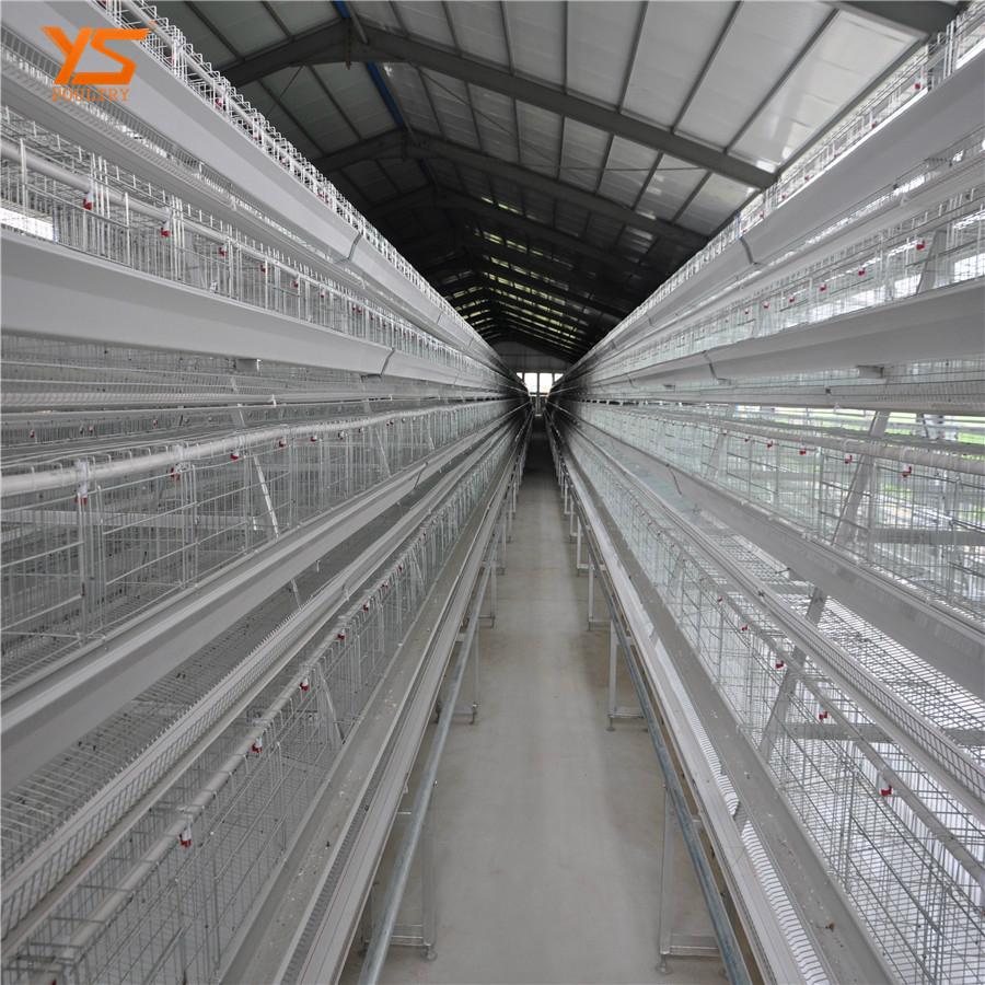new design layer egg chicken cage for sale in Kenya AYS YISHUN