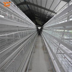 new design layer egg chicken cage for sale in Kenya