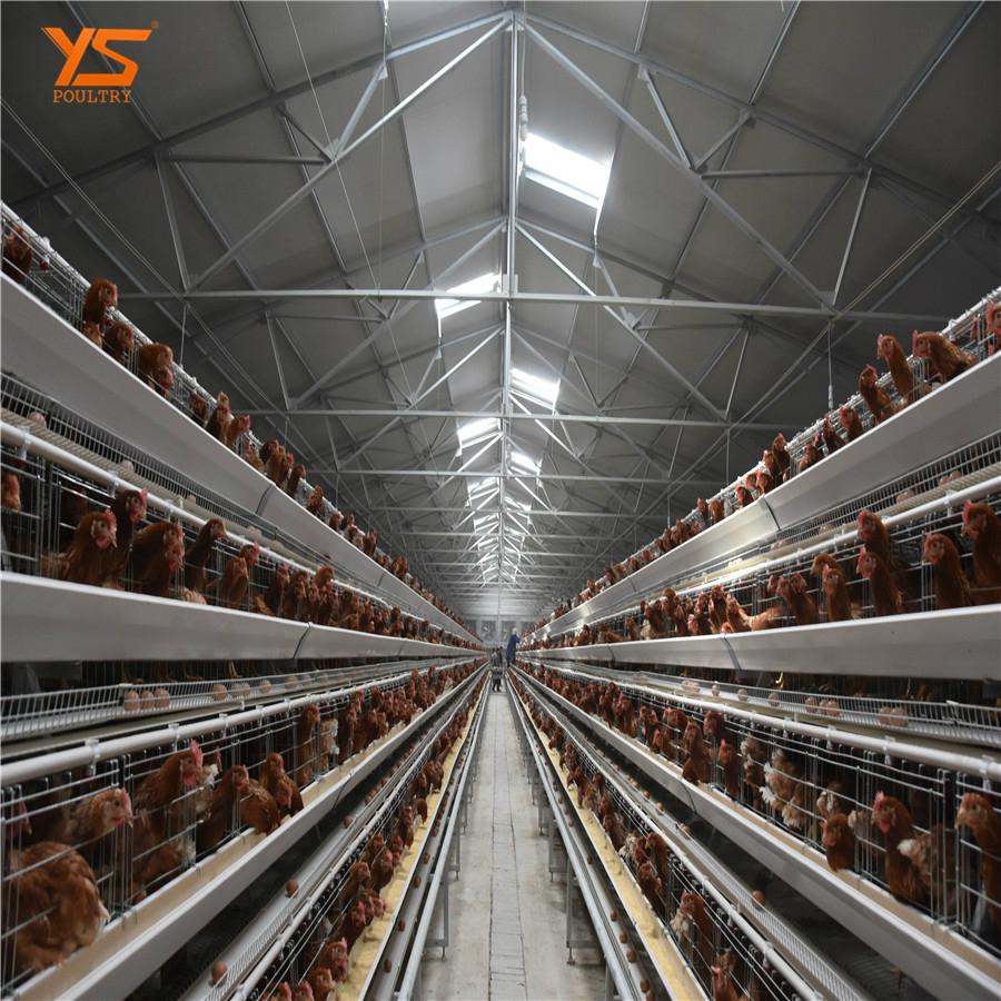 new design layer egg chicken cage for sale in Kenya AYS YISHUN