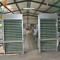 poultry farm chicken cages with egg collection machine  1