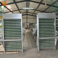 poultry farm chicken cages with egg collection machine 
