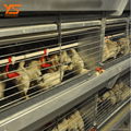 best price H type pullet chicken cage