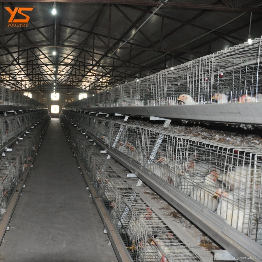 factory sale directly battery broiler chicken cage price 3