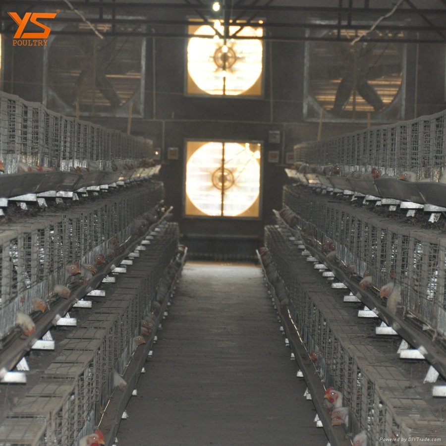 factory sale directly battery broiler chicken cage price 2
