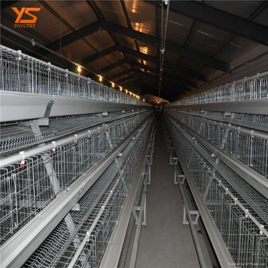 Chinese manufacturer automatic chicken layer cage for sale in philippines